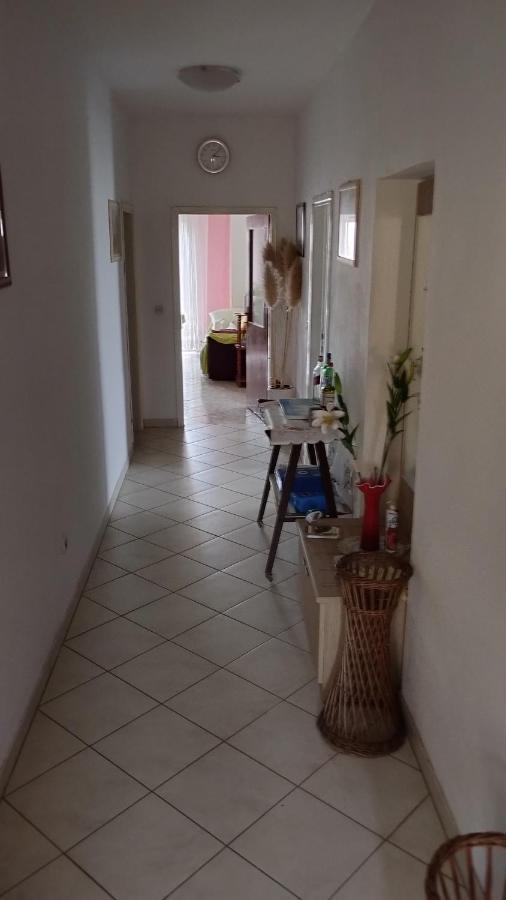 Hotel Apartman Palme Šibenik Exteriér fotografie